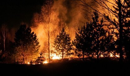 ABD'nin Georgia eyaletinde orman yangınlarında 120'den fazla ev kül oldu