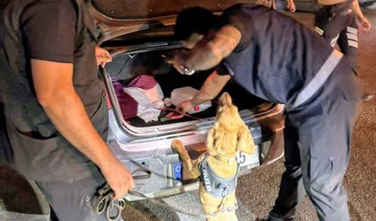 Beş ilçede asayiş ve trafik denetimi yapıldı