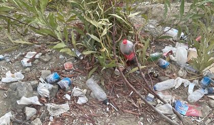 "Dağlık ve ormanlık alanlarda, kullanılmayan inşaatlarda, yapılarda, tenha bölgelerde kontrol dışı noktalar oluştu"