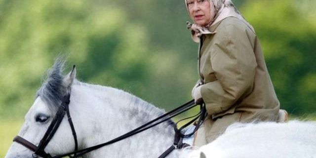 İngiltere Kralı 3. Charles, annesi Kraliçe 2. Elizabeth'in 14 atını satışa çıkardı