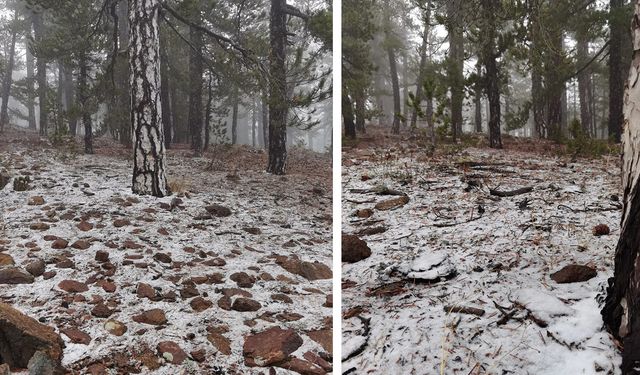 Trodos’a yılın ilk karı düştü