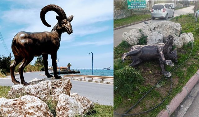 Lefke’de Muflon Heykeli zarara uğratıldı… Lefke örgütleri saldırıyı protesto etti