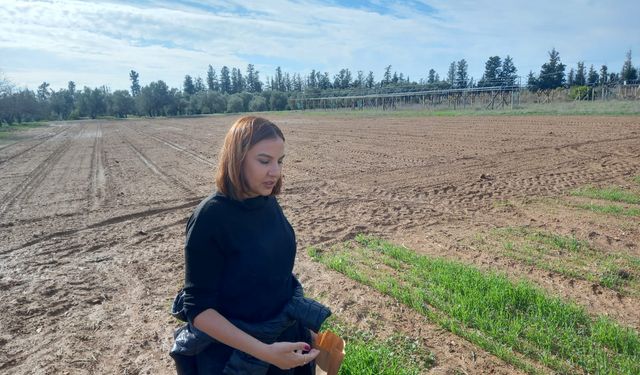 Tarımsal Araştırmalar Enstitüsü, zararlılarla doğru mücadele ederek verimi artırmak için proje yürütüyor