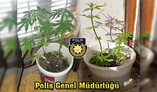 Polis haberleri… Girne ve Güzelyurt’ta uyuşturucu bulundu