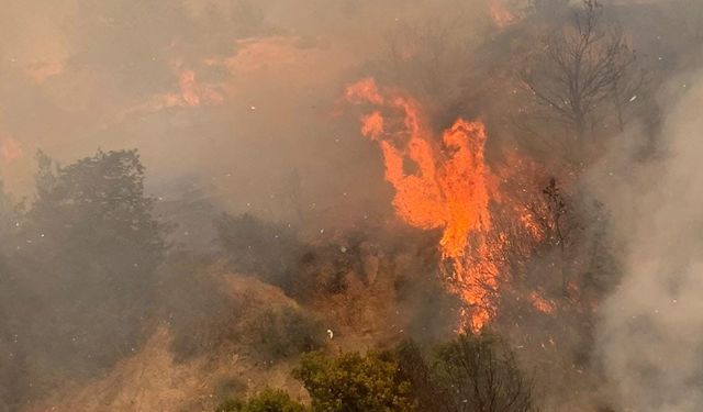 Altınova-Ağıllar köyleri arasında tepelik arazideki yangında hasar tespiti yapıldı