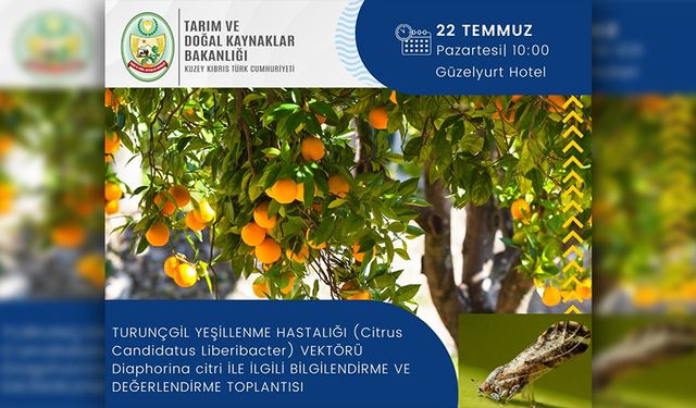 Güzelyurtt’a yeşillenme hastalığıyla ilgili bilgilendirme toplantısı düzenleniyor