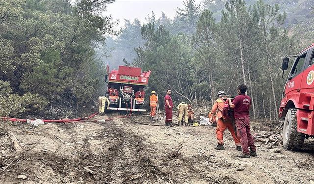 Bolu'da ormanlık alanda çıkan yangına 71 saattir müdahale ediliyor