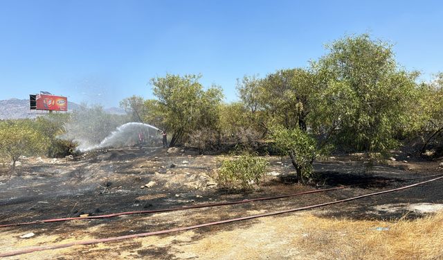 Lefkoşa-Girne ana yolunda yangın… Ağaçlar zarar gördü