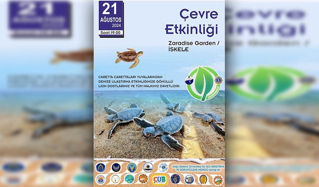 İskele sahilinde bugün caretta carettalar denize bırakılıyor