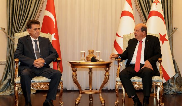 Cumhurbaşkanı Tatar, KHK üyeliğine atanan Şifa Karahasanoğlu’nu kabul etti