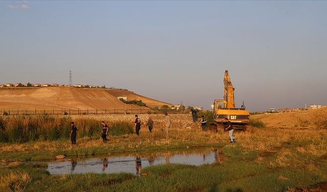 Narin'i arama çalışmalarının "asılsız ihbarlar ve yanlış ifadelerle sekteye uğratıldığı" mahkeme kararında