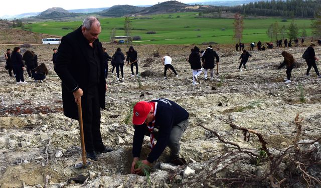 Gençlik Dairesi organizasyonunda 550 fidan ekildi