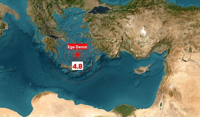 Türkiye’de uzmanlar Ege Denizi'nde yaşanan “deprem fırtınasını” değerlendirdi