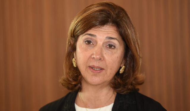 Hristodulidis: "KKTC’deki eski Rum taşınmazlarının kullanımı Holguin’in konusu değil”
