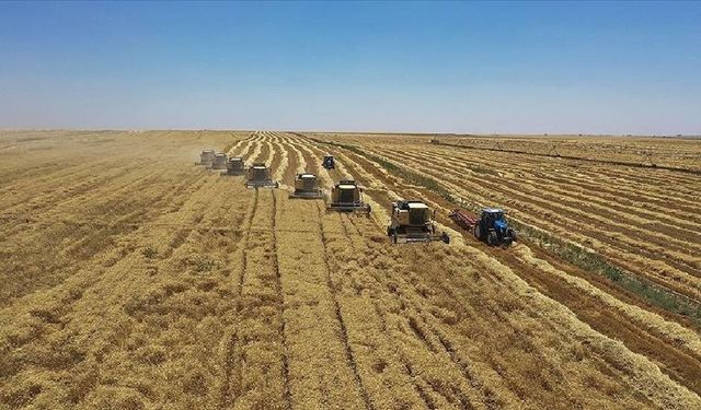 Tarım amaçlı Kıbrıs Türk topraklarının yasa dışı kullanılması