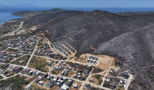 İzmir ve Bilecik'in orman yangınından etkilenen ilçeleri "Genel Hayata Etkili Afet Bölgesi" ilan edildi
