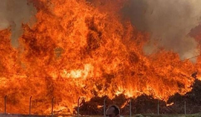 Türkiye'de haziranda 612 orman yangınına müdahale edildi