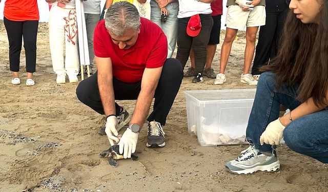 Deniz Kaplumbağaları Koruma ve Araştırma Projesi yıl sonu etkinliği yapıldı
