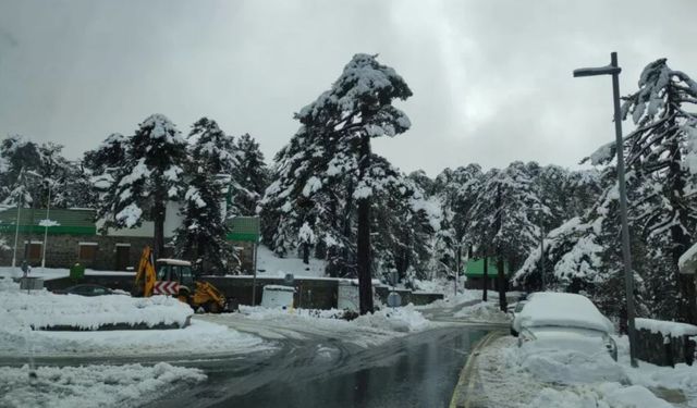 Trodos Dağları’nda yoğun kar yağışı...