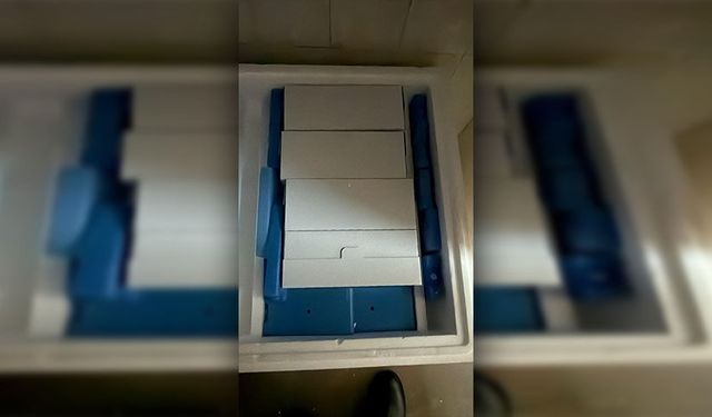 Güney Kıbrıs’a 50 bin doz şap aşısı daha… Toplamda 60 bin doz teslim edildi