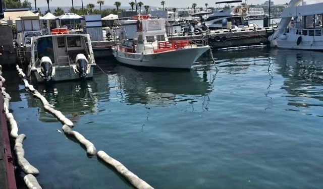 Baf limanında ciddi mazot ve sıvı atık kirliliği yaşanıyor