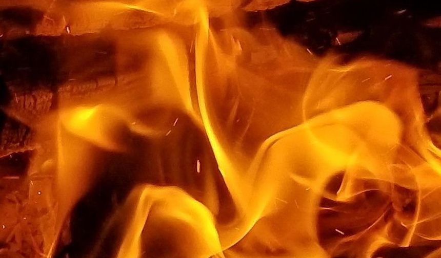 Arazi ve araç yangını... Ağaçların zarar gördüğü yangınlarda bir araba da küle döndü