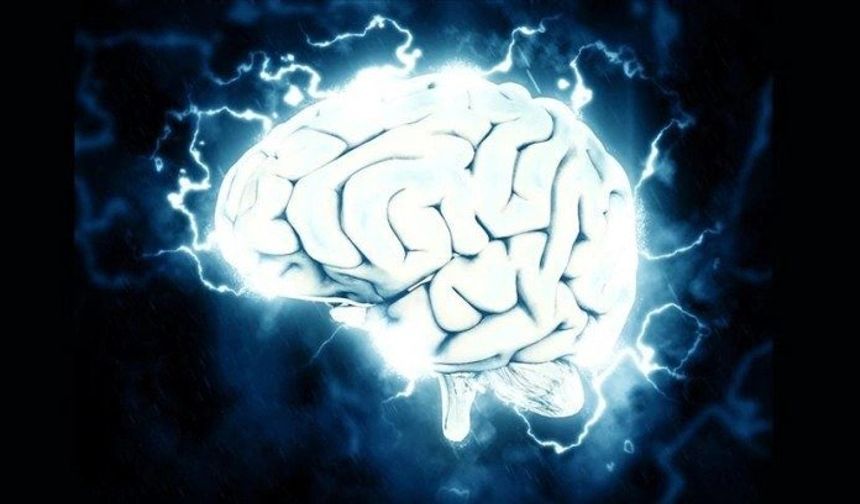 Bilim insanları, beyindeki "iç pusulanın" nasıl çalıştığını tespit etti