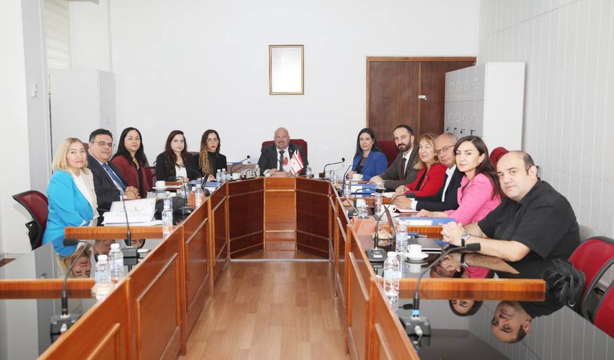 Yükseköğrenim kurumları ve YÖDAK'la ilgili Meclis araştırma komitesi YÖDAK Başkanı Hocanın'ı dinledi