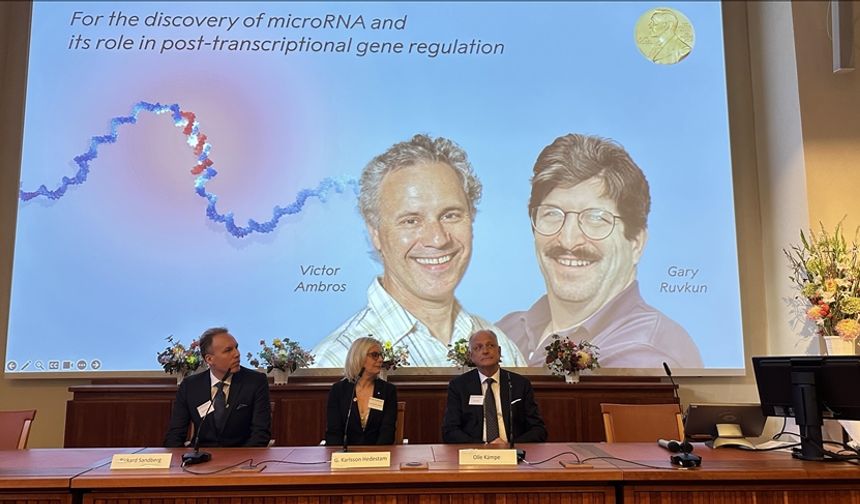 2024 Nobel Tıp Ödülü "microRNA keşfinden" dolayı ABD'li Victor Ambros ve Gary Ruvkun'a verildi