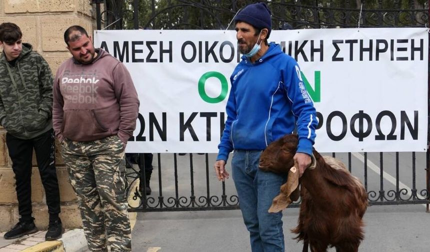 Güney Kıbrıs’ta hayvancılar eyleme hazırlanıyor