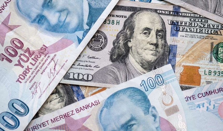 Morgan Stanley: "Türk lirası, bu yıl en iyi performans gösteren para birimlerinden olacak"