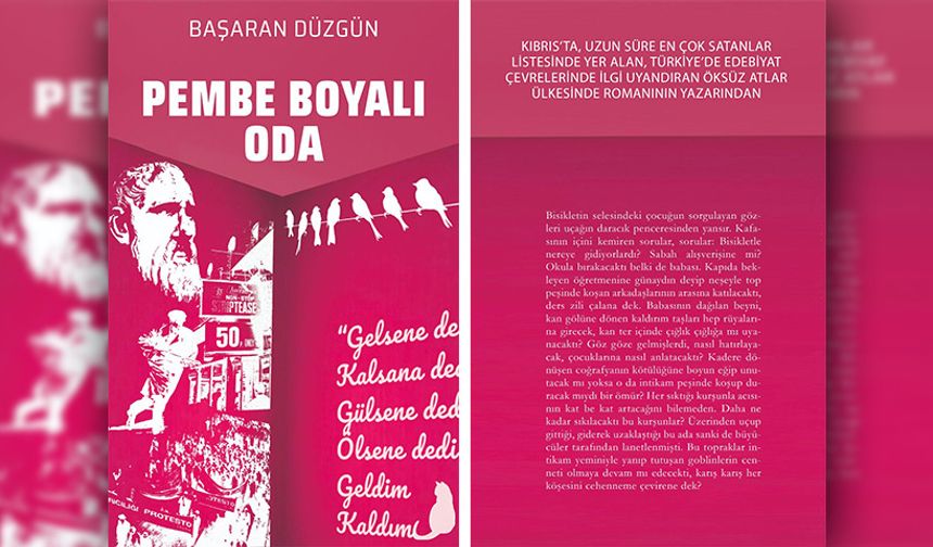 Gazeteci-Yazar Başaran Düzgün’den yeni kitap: “Pembe Boyalı Oda…”