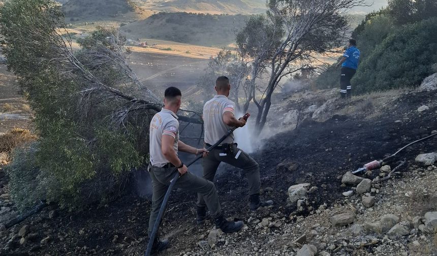 Avtepe - Kuruova arasında çıkan yangın kontrol altına alındı