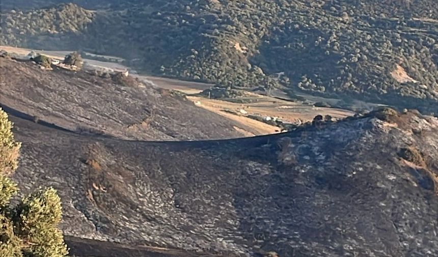 Avtepe’deki yangın tamamen söndürüldü
