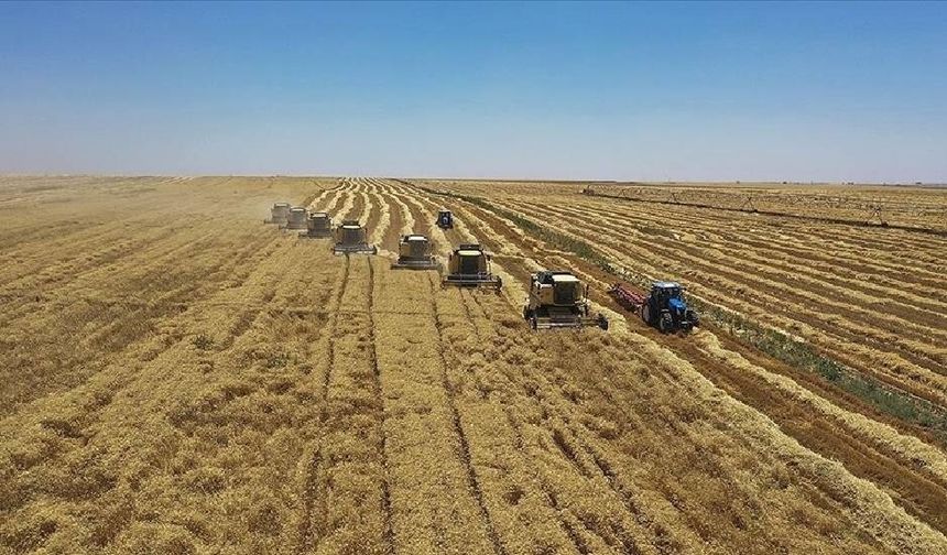 Tarım amaçlı Kıbrıs Türk topraklarının yasa dışı kullanılması