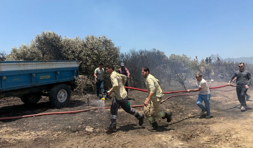 İzmir'de orman yangınına müdahale ediliyor