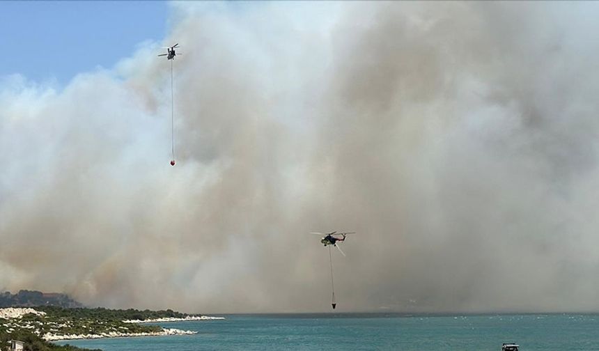 İzmir'de çıkan orman yangınına müdahale ediliyor
