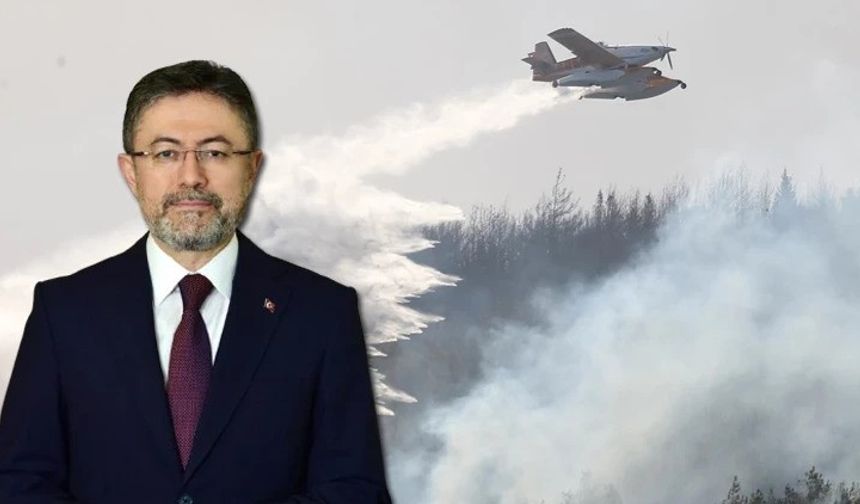 Çanakkale'nin Gelibolu bölgesindeki orman yangını tamamen kontrol altına alındı