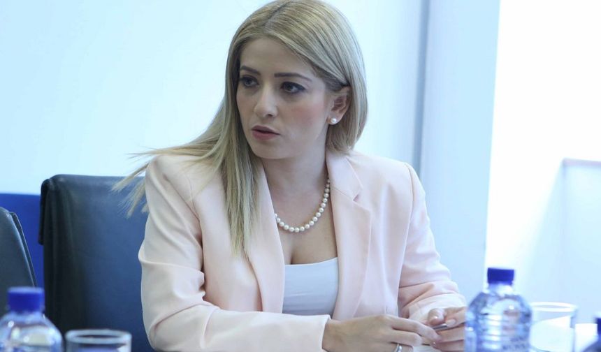 Dimitriu ve Eğitim Bakanı Kıbrıs sorunu konusunda açıklamalarda bulundu