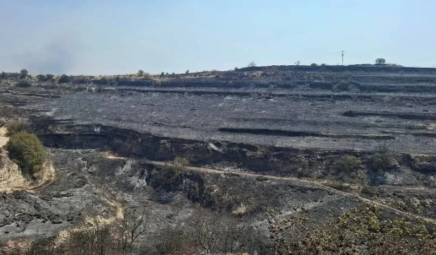 Limasol’daki büyük yangının sönmemiş sigara izmaritinden çıktığı açıklandı