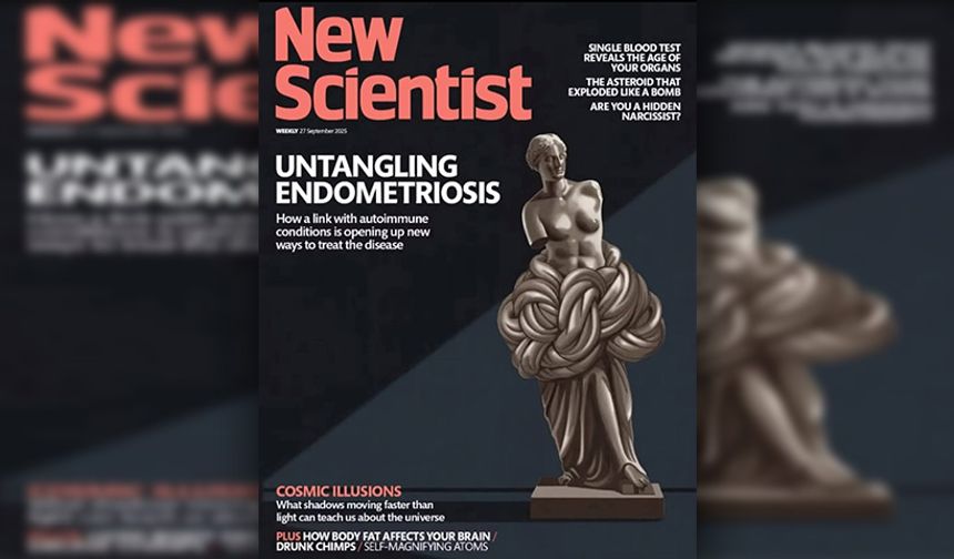 Kıbrıslı Türk biliminsanı Nilüfer Rahmioğlu'nun çalışması New Scientist dergisine kapak oldu