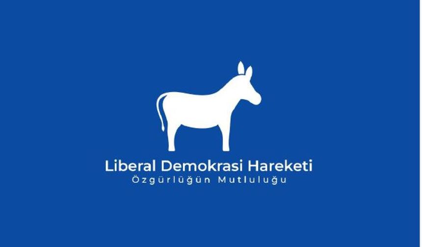 Liberal Demokrasi Hareketi: “2026 bütçesinin yaklaşık yüzde 75’i maaş ve cari transferlere gidiyor”