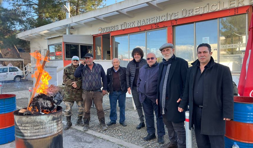 Narenciye Üreticiler Birliği’nden Cypfruvex yönetimine eleştiri