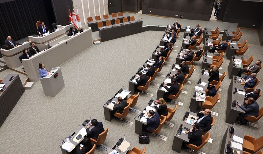 CTP’nin, erken seçimin komitede ivedilikle görüşülmesine ilişkin önerisi Genel Kurul'da reddedildi