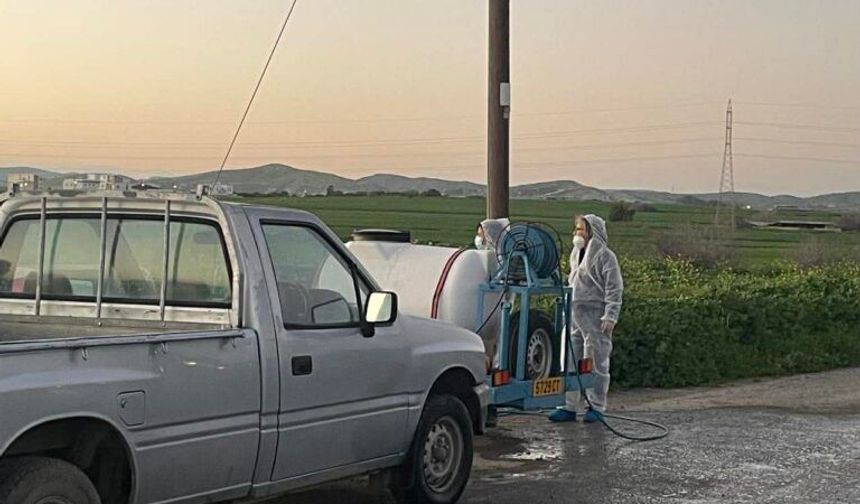 Larnaka’da 11 çiftlikte şap hastalığı tespit edildi