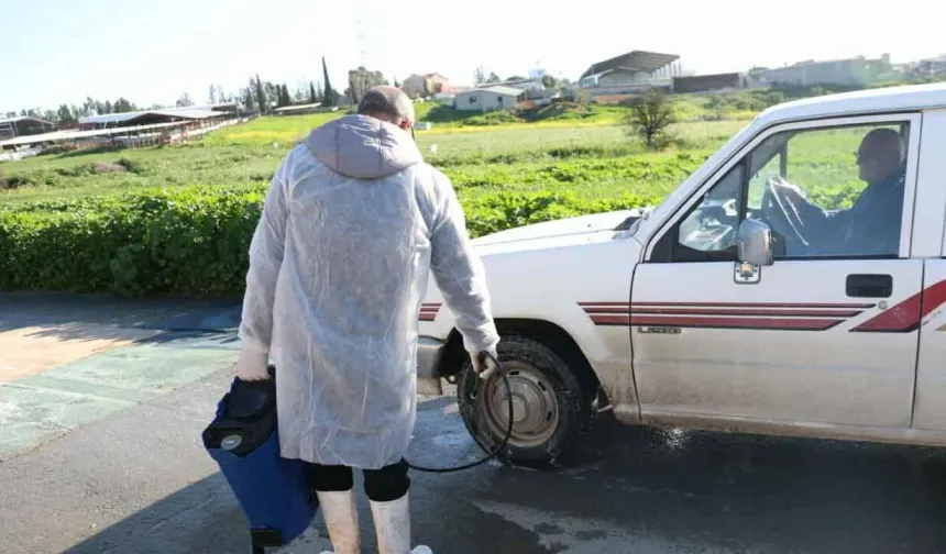 Güney Kıbrıs'ta şap hastalığı için koordinasyon merkezi oluşturuldu