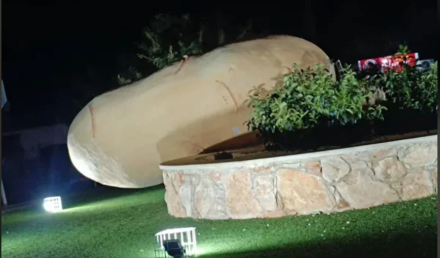 Larnaka’ya bağlı Ksilofagu’daki patates heykeli kötü hava şartları yüzünden devrildi