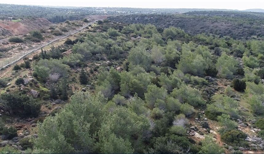 62 kuruluş, 3 bin 500 dönüm orman arazisinin devredilmesini ortak açıklamayla reddetti