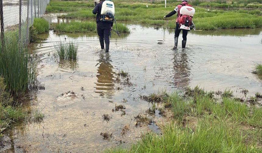 GMB kent genelinde sivrisinekle mücadeleye devam ediyor