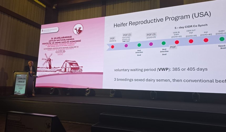 Çavuş: “Bilimsel çalışmalar ve yenilikçi yaklaşımlar hayvancılık sektörünün geleceği için yol gösterici”